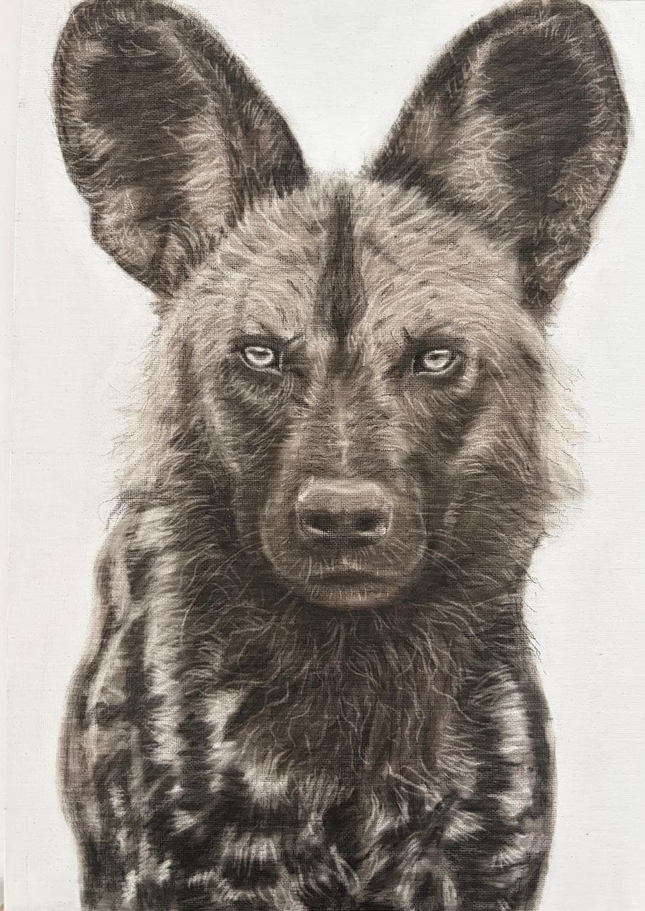 Painted Wolf, charcoal on canvas by Brendan McCarthy